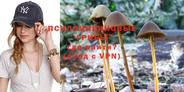 эйфоретик Алзамай