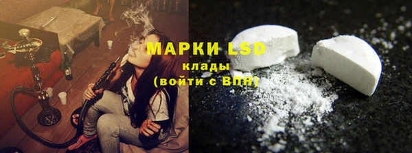 эйфоретик Алзамай